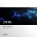 Schon & Sturm - Feel & Fly (Original Mix)