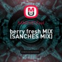SANCHESFeel - berry fresh MIX ()