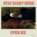 P-Sol - Stay Right Here