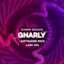 Ramin Rezaie - Gnarly (Artmann Remix)