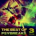 Inner Time - Bounce in Brain