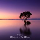 Fairy Ring - Push And Pull ()