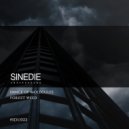 Forest Weed, Marchesan - Cosmic Dust (Original Mix)