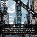 Sandro M. - Run (Pritech Remix)