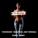 Tookroom  - Beautiful and Terrible