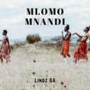 Lindz SA - Mlomo Mnandi (Original mix)
