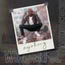Ayo King - Wonderful ()