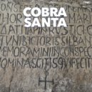 COBRA SANTA - Can\'t Loose This Touch (Original Mix)