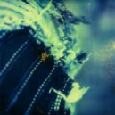 Somfay - Irradian Irradiant