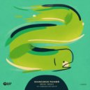 Giancarlo Puigbó - Naufrage