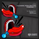 Alejandre, Muñoz Brothers - Funking (Martin OCCO Remix)