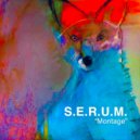 S.E.R.U.M. - Montage (Original Mix)