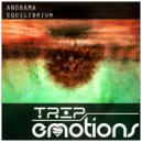 ANORAMA - Equilibrium