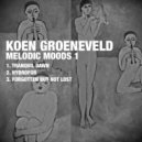 Koen Groeneveld - Forgotten But Not Lost