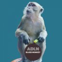 Adln - Blues Monkey