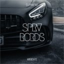 Suprafive - Ambiente