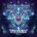 Symbolic & Electric Universe - Science & Spirit