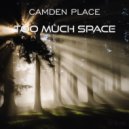 Camden Place - Too Much Space (Original Version)