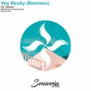 DE GRAAL' - You Really