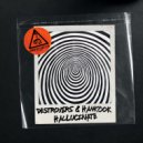 Destroyers, Hankook - Hallucinate
