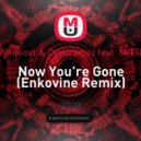 Whiteout & Depdramez feat. MITTI - Now You're Gone
