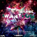 Nfunk - I want you (Original Mix)
