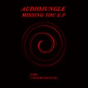 AudioJungle - Missing You (Original mix)