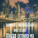 Haddaway x Sak Noel Salvi - What Is Love
