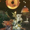 Peace to Mateo - Celestial Hot Sauce