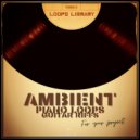 DaveZ - Guitar ambient melody