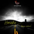 Ferry polaris - Hamesha (Original Mix)