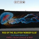 Rise Of The JellyFish - Nobody Else (MAP Remix)