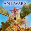 Hayai - Ant Wars
