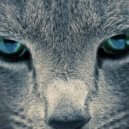 Him Self Her & Pleasurekraft & Belocca - Murder Has Gone Too Long