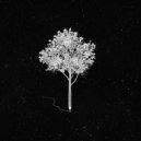Chillhop Music & LO-FI BEATS - Nova ()