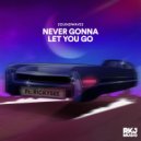 Soundwaves & Rickysee - Never Gonna Let You Go (feat. Rickysee) (Original Mix)