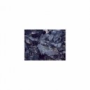 Mindfulness Healing BGM Project - Nightingale and Attraction
