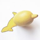 Lemon & Roasted Dolphin - On The Flow