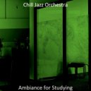 Chill Jazz Orchestra - Background for Work ()