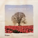 Travis Jesse - Hope Again