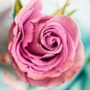 Sleep is Life - Gently (Original Mix)