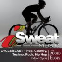 The Jagged Edges - Suds In he Bucket