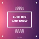 Lush Djs - Cant Know