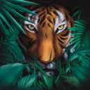 A Vision Of Panorama - Tiger's Outro