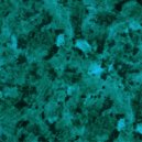 Oscar Sanchez - Habeas