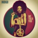 Indigo - We Told You (Original Mix)