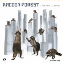 Claudio Suara - Racoon Forrest