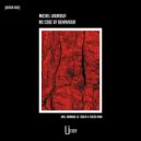 Michel Lauriola - No Code Of Behaviour (Arnaud Le Texier Remix)