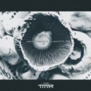 Diego Oroquieta - Scaphoid (Original mix)