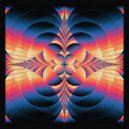 Nova - Fivers
